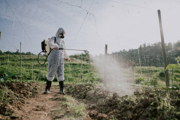 Best Commercial Pest Control Services  in Chelan, WA