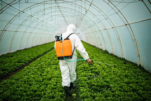  Chelan, WA Pest Control Pros