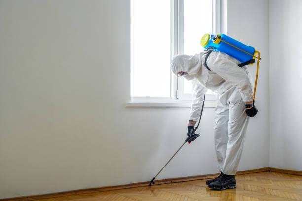 Best Mosquito Control Services  in Chelan, WA