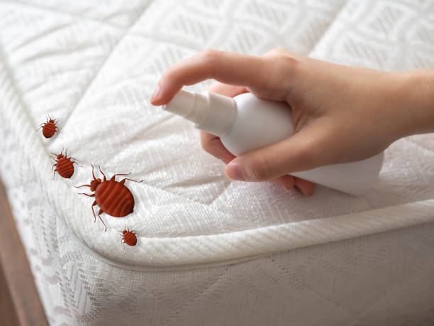 Best Cockroach Control Services  in Chelan, WA