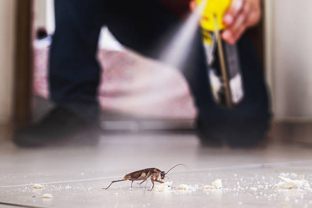 Best Flea Control Services  in Chelan, WA