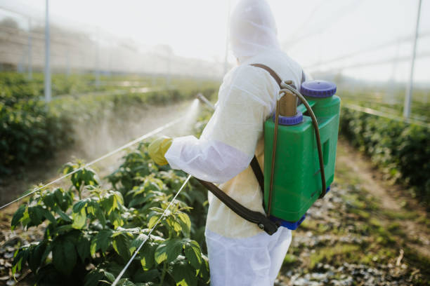 Best Termite Control Services  in Chelan, WA